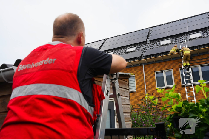 Kat vast onder zonnepanelen, brandweer in actie