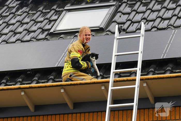 nieuws veluwemeer amersfoort