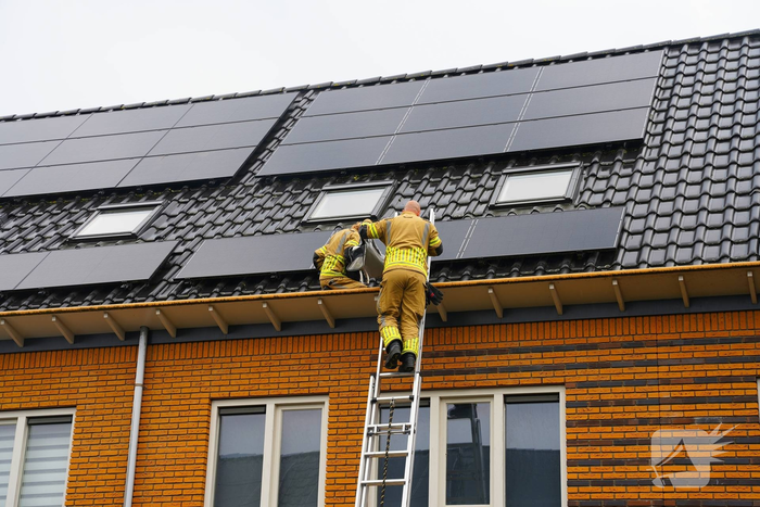 Kat vast onder zonnepanelen, brandweer in actie