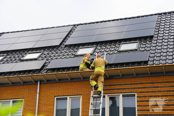Kat vast onder zonnepanelen, brandweer in actie