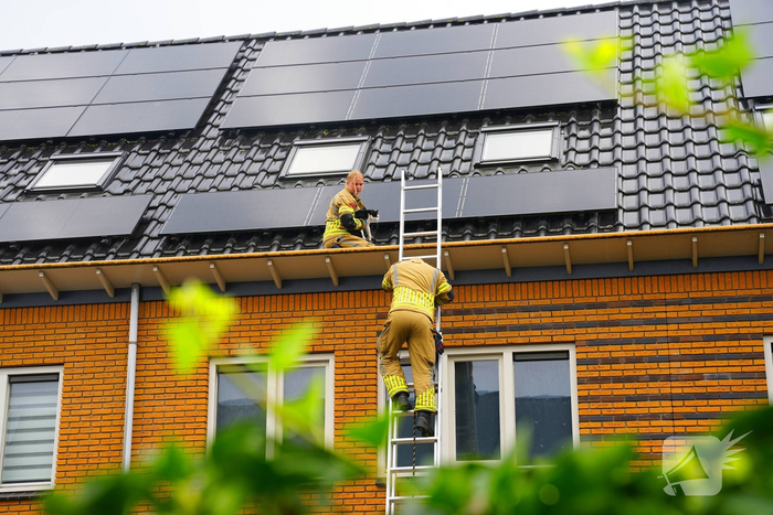 Kat vast onder zonnepanelen, brandweer in actie