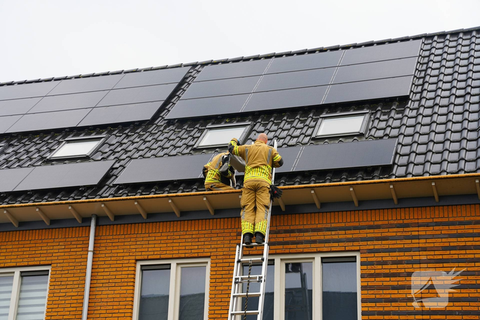 Kat vast onder zonnepanelen, brandweer in actie