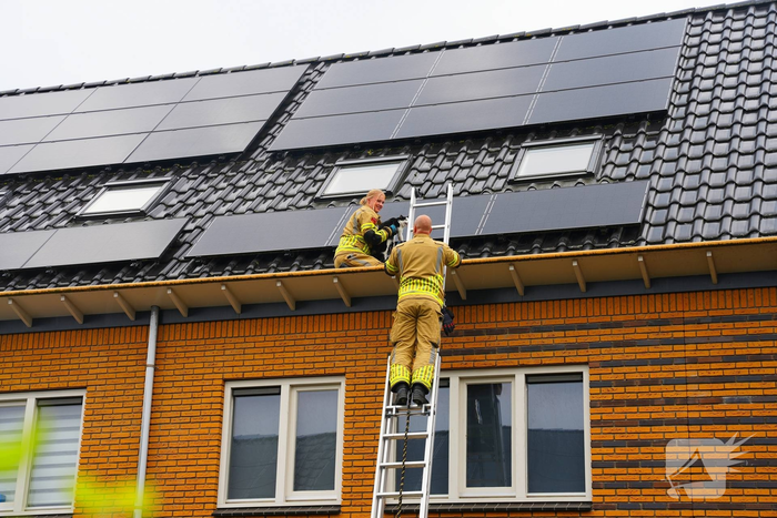 Kat vast onder zonnepanelen, brandweer in actie
