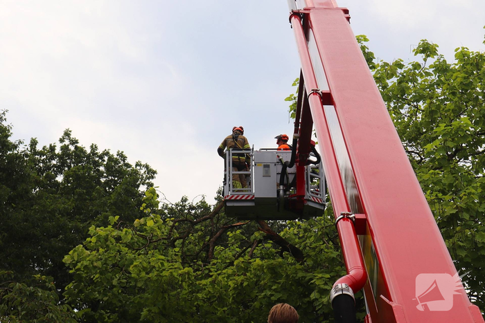 Brandweer verwijdert gevaarlijk hangende takken