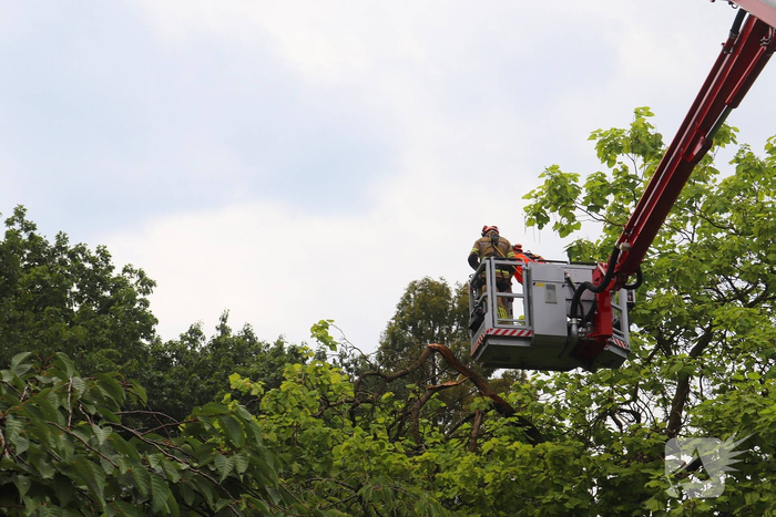 Brandweer verwijdert gevaarlijk hangende takken