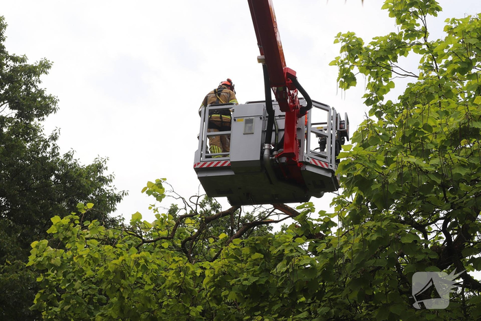 natuur van hogendorplaan barneveld