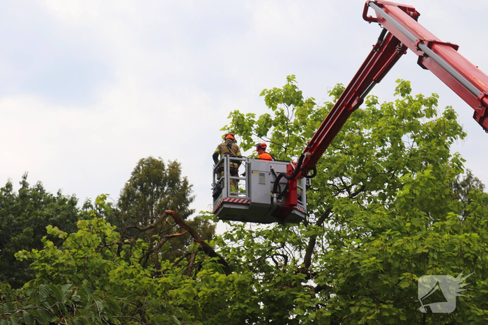 Brandweer verwijdert gevaarlijk hangende takken