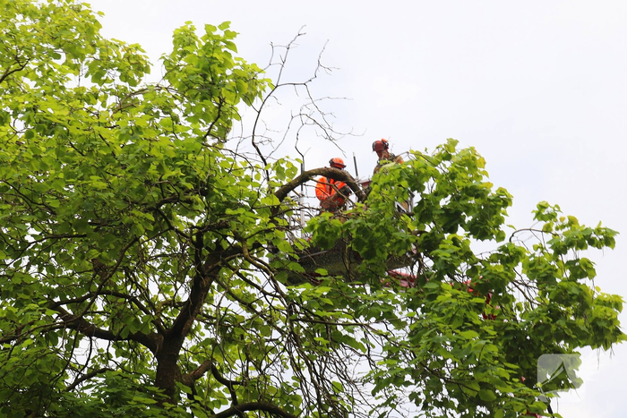 Brandweer verwijdert gevaarlijk hangende takken