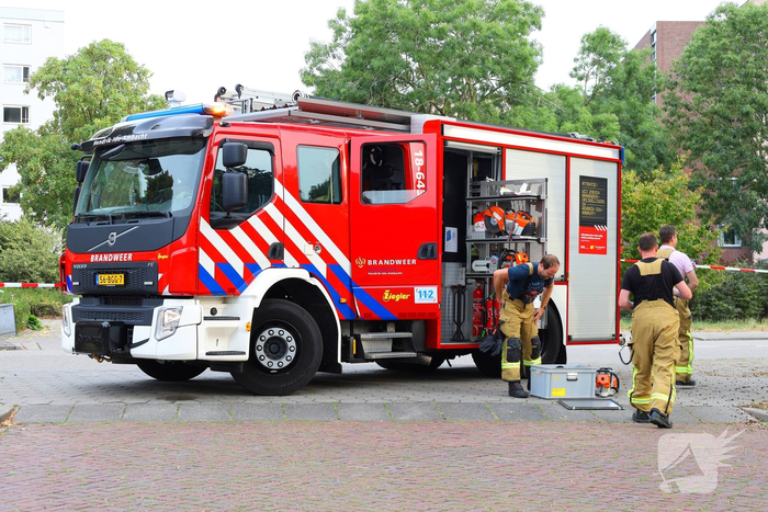 Brandweer zaagt boom omver na blikseminslag