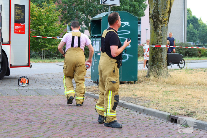 Brandweer zaagt boom omver na blikseminslag