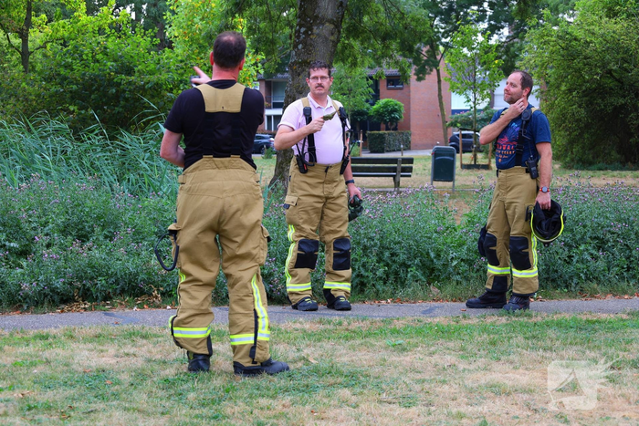 Brandweer zaagt boom omver na blikseminslag