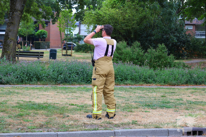 Brandweer zaagt boom omver na blikseminslag