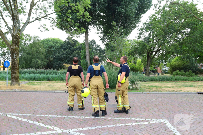 Brandweer zaagt boom omver na blikseminslag
