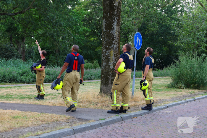 natuur p.c. hooftsingel hendrik-ido-ambacht