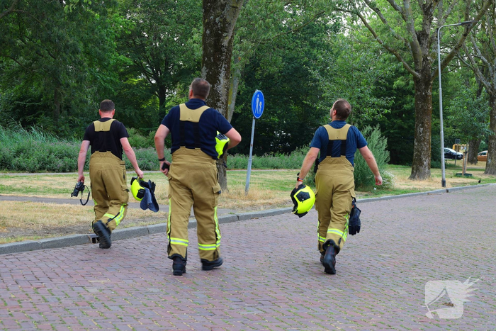 Brandweer zaagt boom omver na blikseminslag