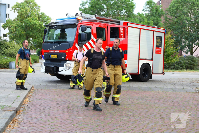 Brandweer zaagt boom omver na blikseminslag