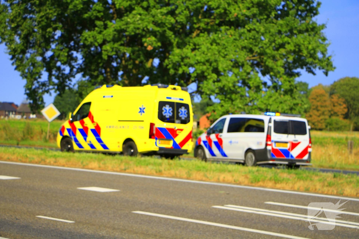 Aanrijding door remactie voor vogel