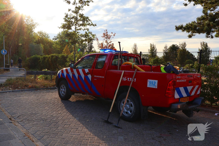 Smeulende boomstronk gedoofd