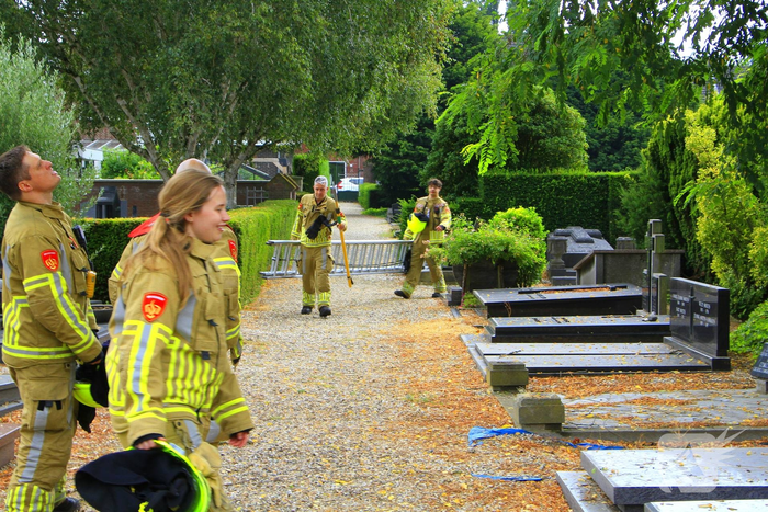 Kat springt uit boom tijdens reddingsactie