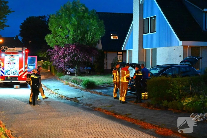 brand van emingaleane goutum