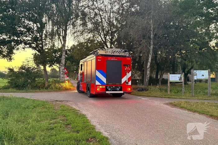 Koe belandt in mestput