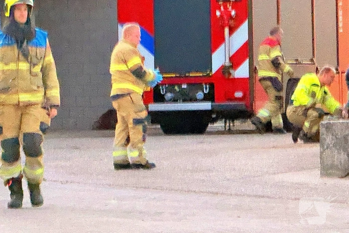 Koe belandt in mestput