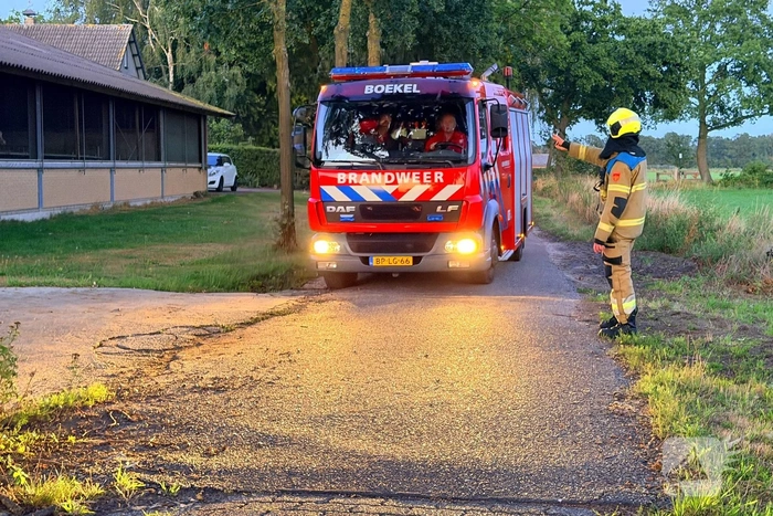 Koe belandt in mestput