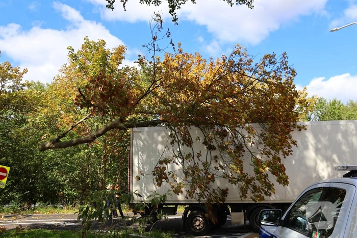 Boom breekt af na botsing en belandt bovenop vrachtwagen