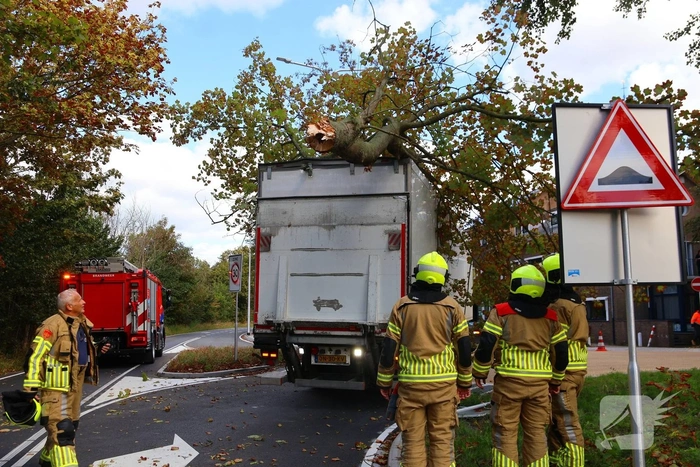 Boom breekt af na botsing en belandt bovenop vrachtwagen