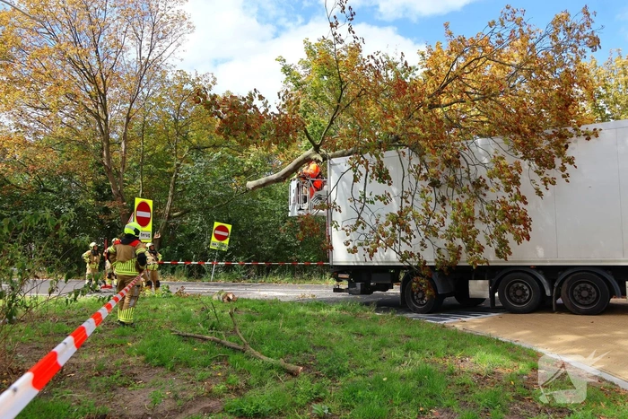 Boom breekt af na botsing en belandt bovenop vrachtwagen