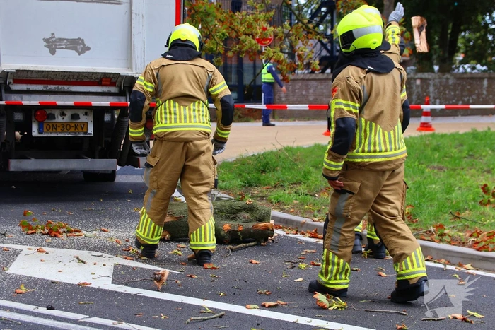 Boom breekt af na botsing en belandt bovenop vrachtwagen