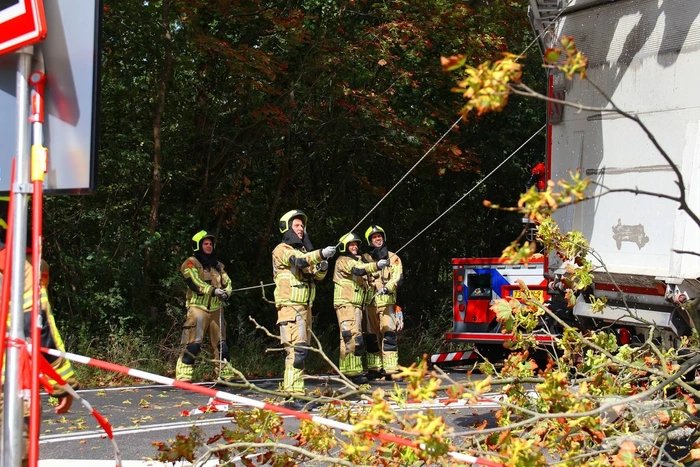 Boom breekt af na botsing en belandt bovenop vrachtwagen