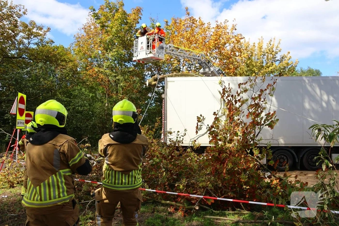 Boom breekt af na botsing en belandt bovenop vrachtwagen