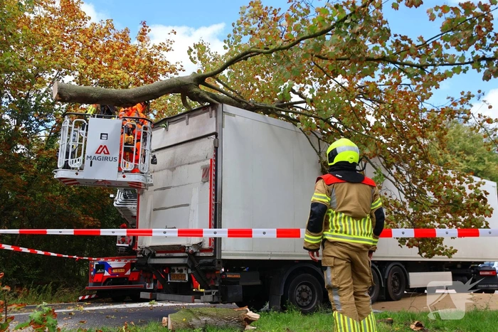 Boom breekt af na botsing en belandt bovenop vrachtwagen