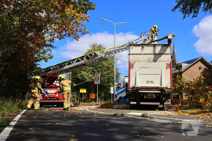 Boom breekt af na botsing en belandt bovenop vrachtwagen