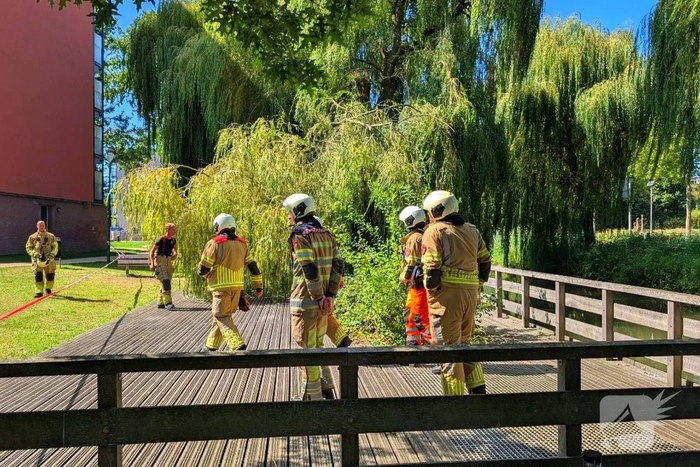 natuur de palmen grift veenendaal