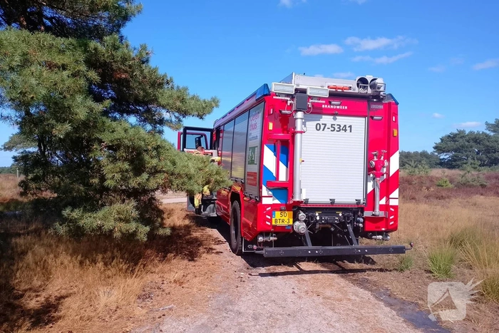 Brandweer succesvol bij brand in natuurgebied