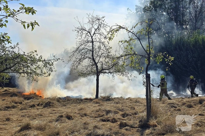 Brand in gemaaid veld veroorzaakt inzet brandweer