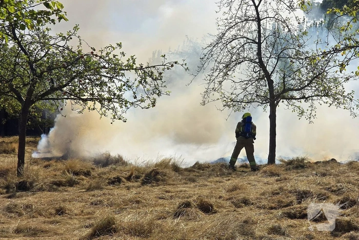 Brand in gemaaid veld veroorzaakt inzet brandweer