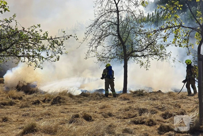 Brand in gemaaid veld veroorzaakt inzet brandweer