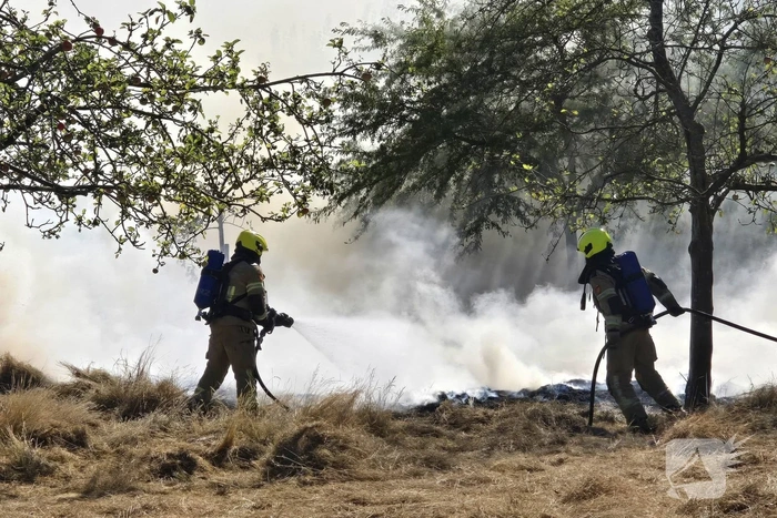 Brand in gemaaid veld veroorzaakt inzet brandweer