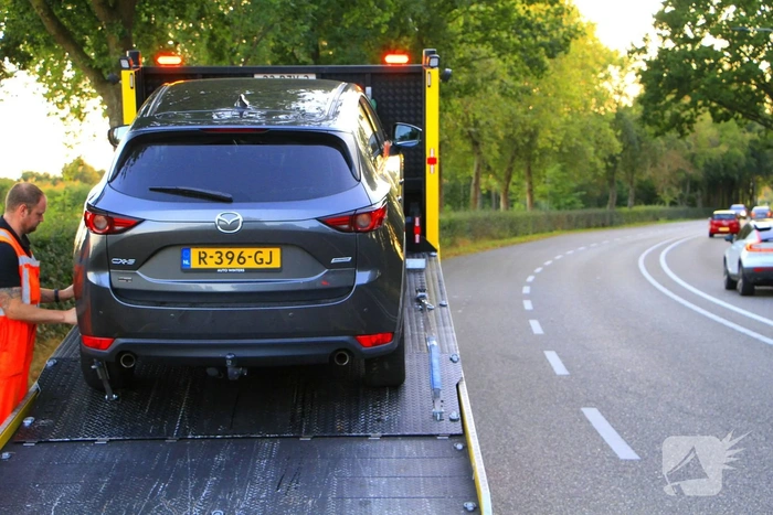 Motorrijder wijkt uit, kat komt om het leven