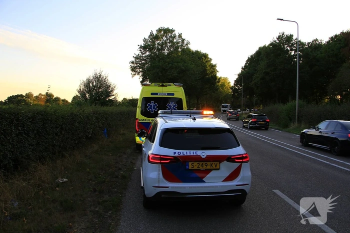 Motorrijder wijkt uit, kat komt om het leven
