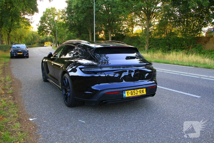 Motorrijder wijkt uit, kat komt om het leven