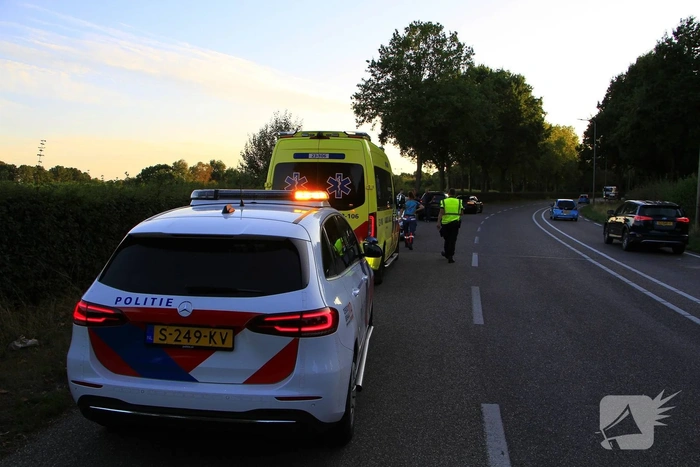 Motorrijder wijkt uit, kat komt om het leven
