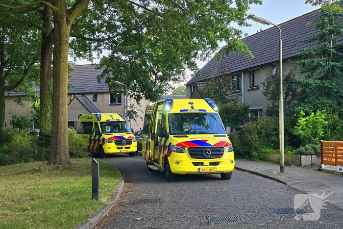 steekincident imkerplantsoen hoogland