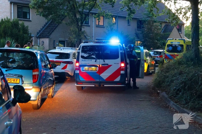steekincident imkerplantsoen hoogland