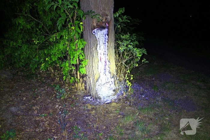 Buitenbrand in boom met nest van Aziatische Hoornaar