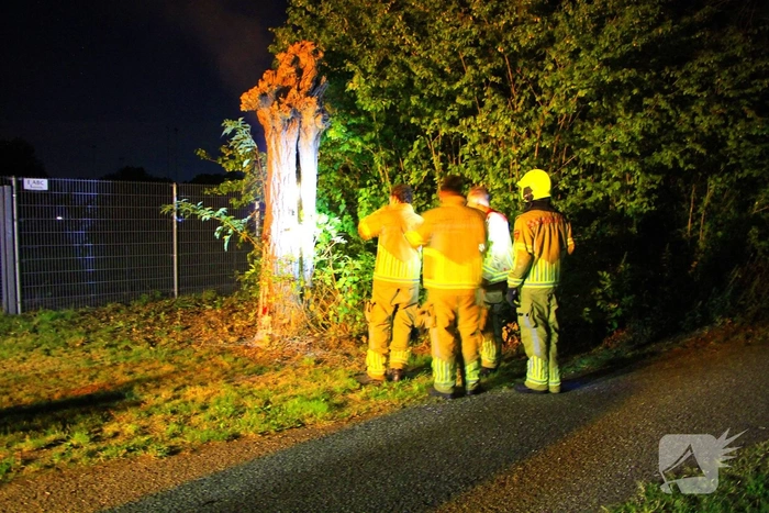 Buitenbrand in boom met nest van Aziatische Hoornaar