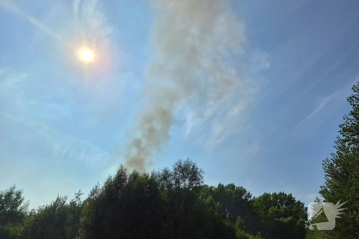 Hulpdiensten blussen brand in struikgewas